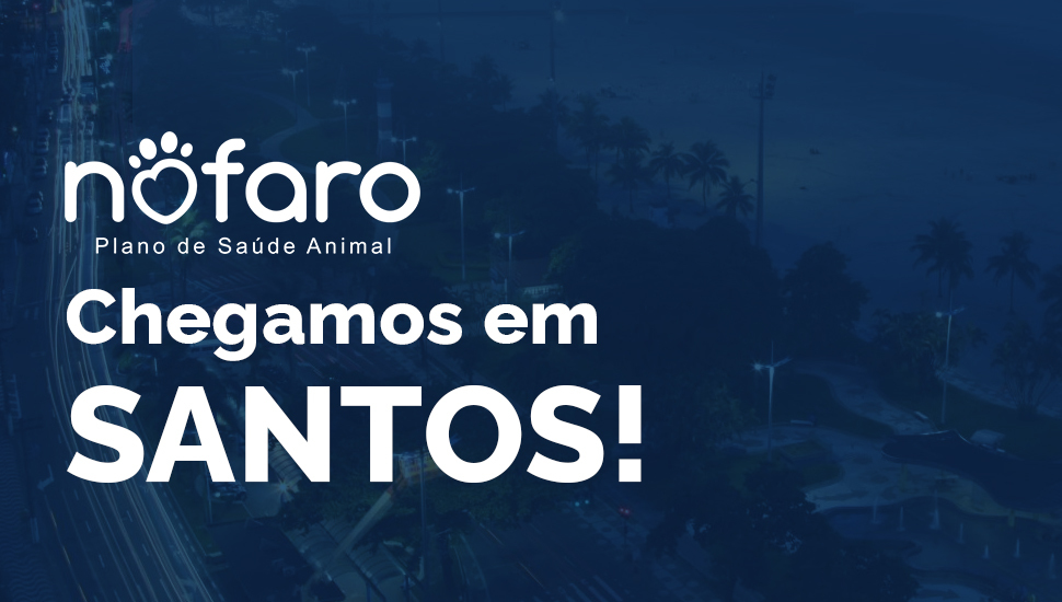 Plano de Saúde Pet em Santos