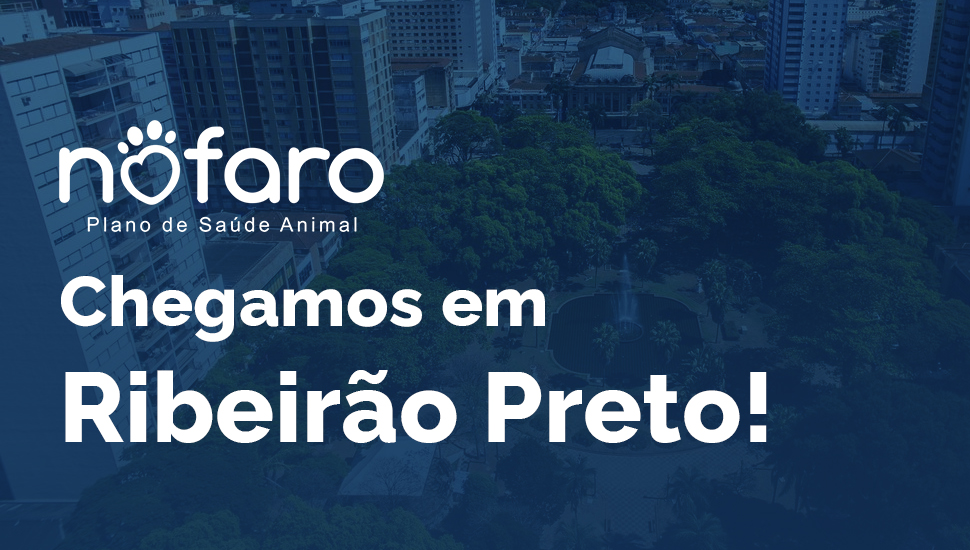 Plano de Saúde Pet em Ribeirão Preto
