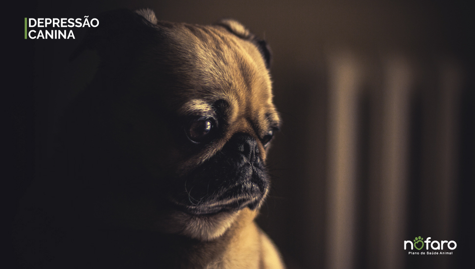Modelo De Cachorro Com Depressao Vetores De Silhueta Da Cabeça Triste