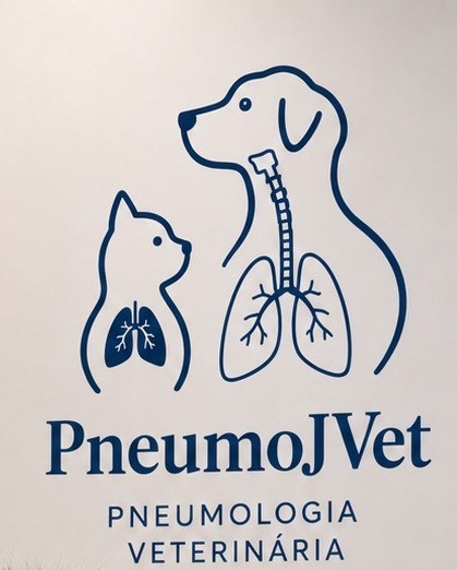 Avatar do(a) Pneumojvet