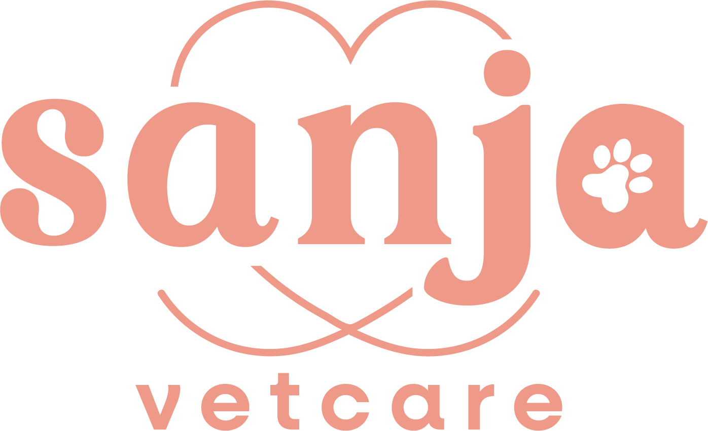 Sanja Vetcare, Consultório em São José dos Campos