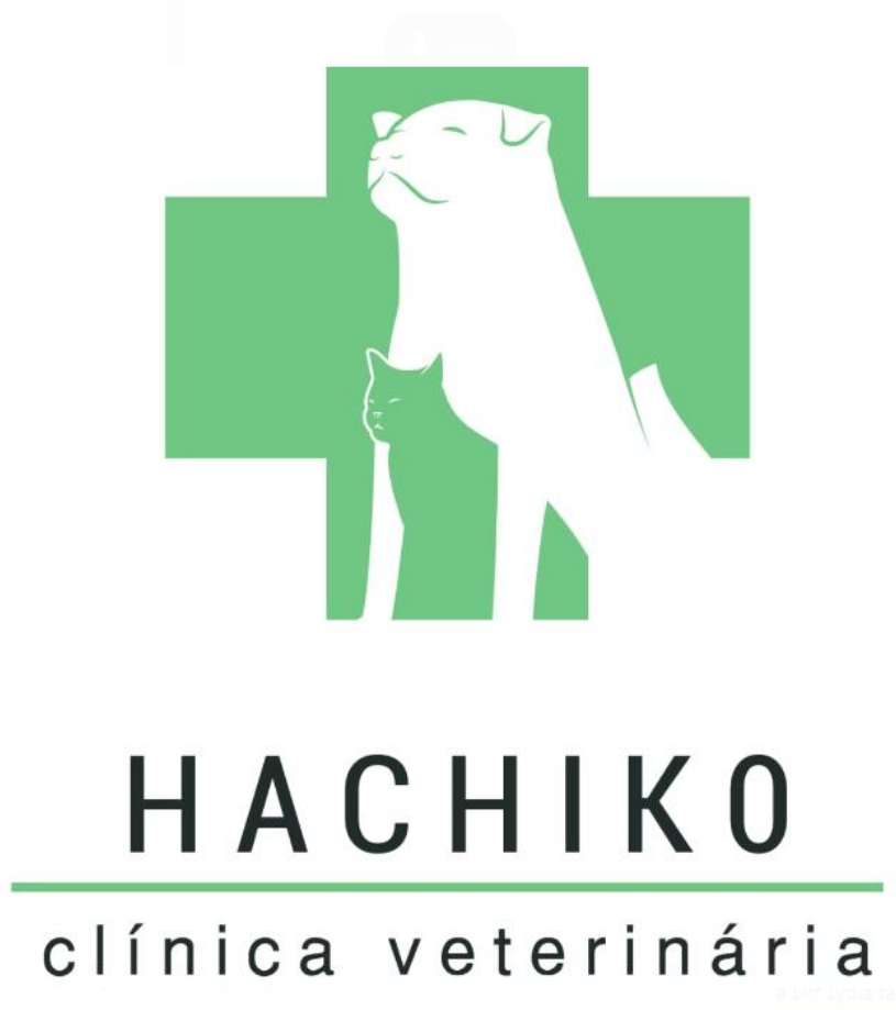 Hachiko Pet House 24h - Nilo Peçanha, Clínica 24h em Niterói