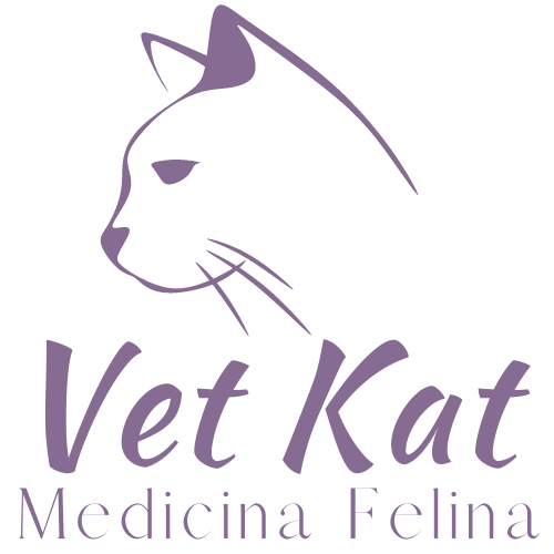 Vet Kat - Medicina Felina - Dra. Katiana Tavernari Bignardi, Felinos em São Paulo