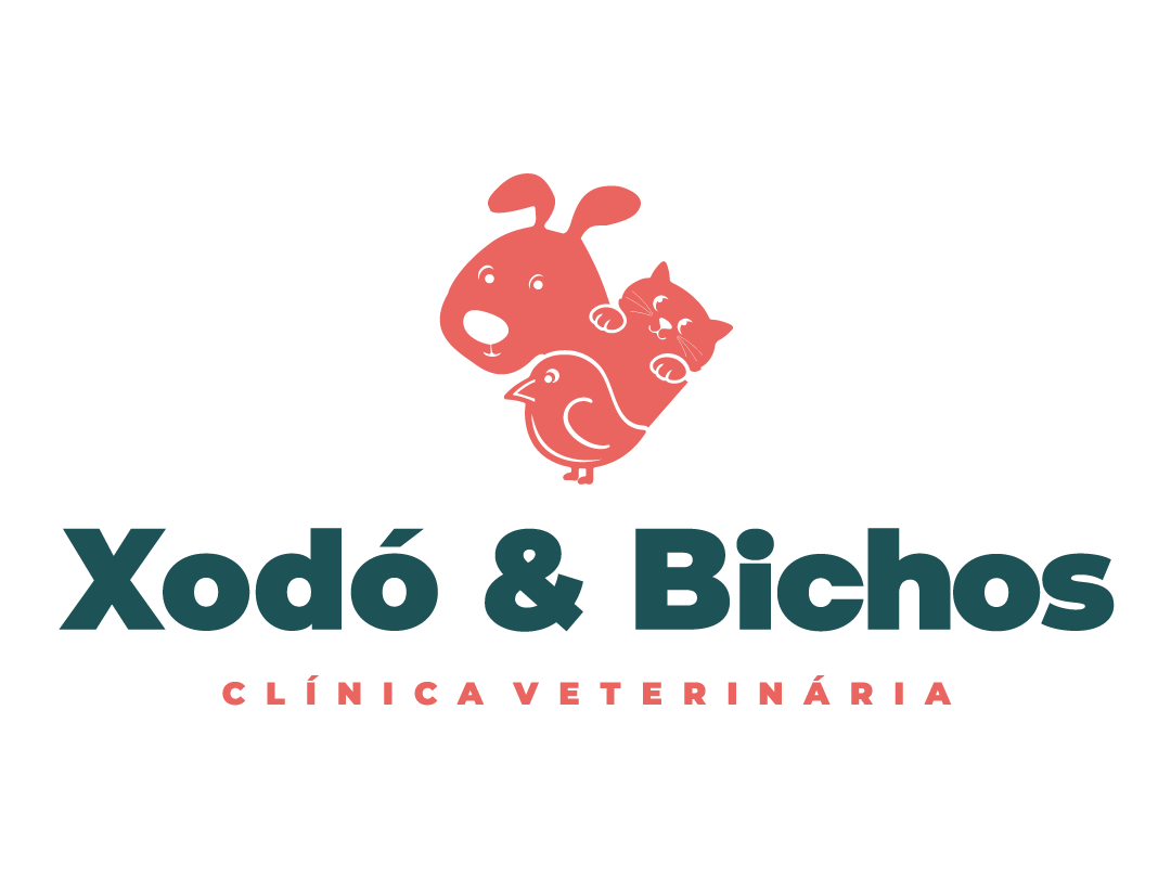 XODÓ & BICHOS, Clínica com cirurgia em Guarulhos