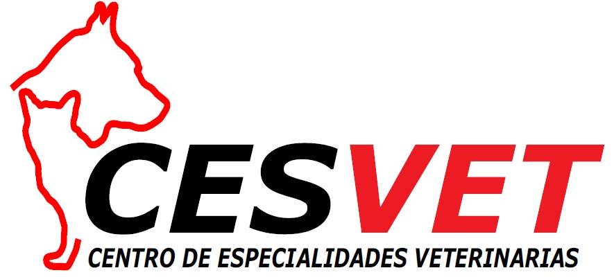 CESVET - Fisioterapia e Acupuntura, prestador credenciado Petlove Saúde em Piracicaba