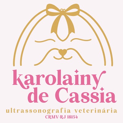Dra. Karolainy De Cassia, prestador credenciado Petlove Saúde em Rio de Janeiro