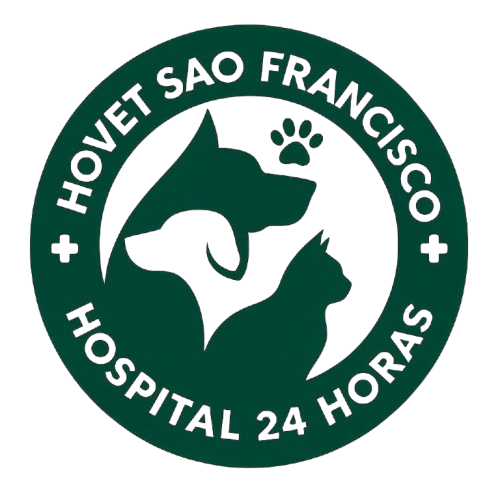 Hospital Veterinário São Francisco - Penha, Oftalmologia em São Paulo