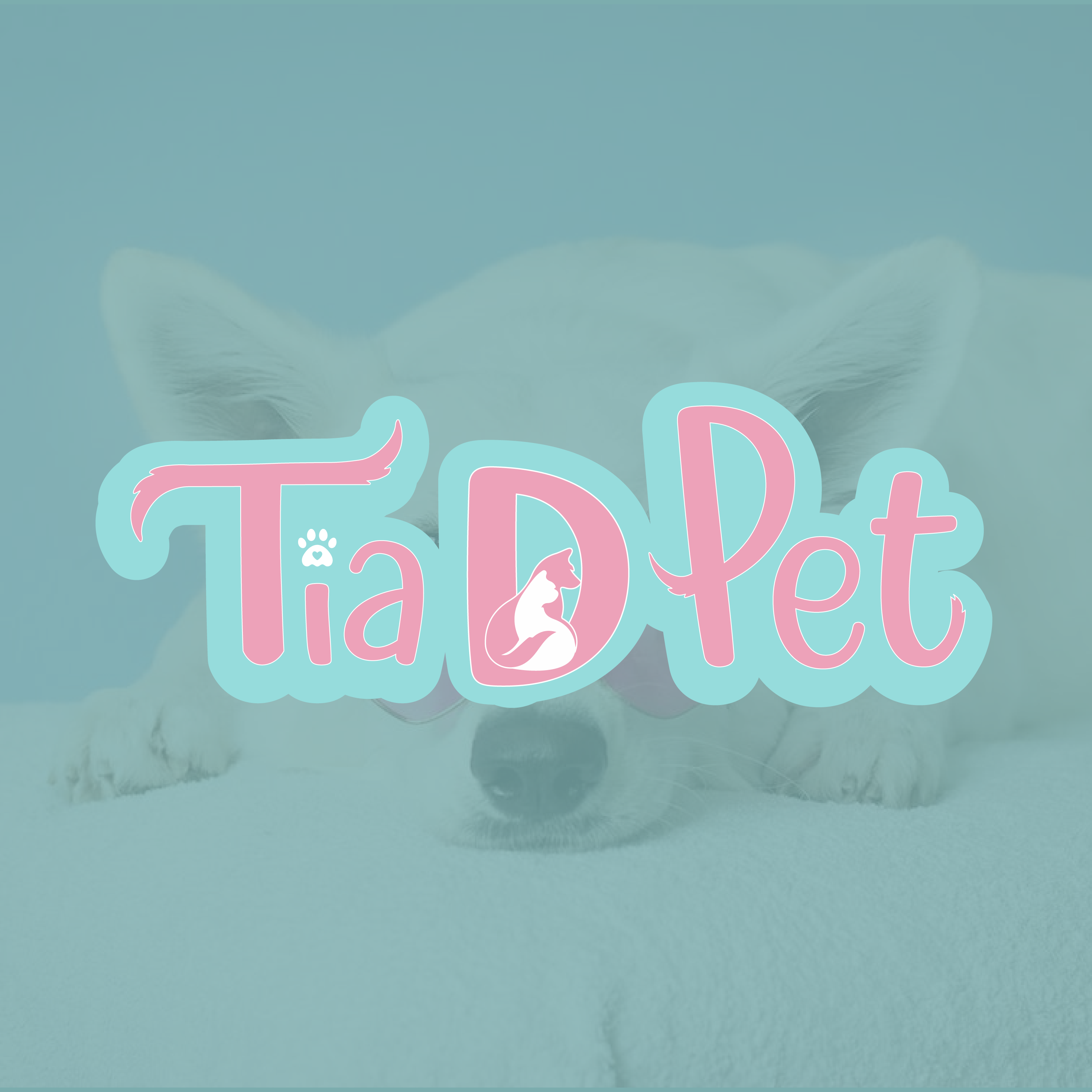 Tia D Pet, Consultório em João Pessoa