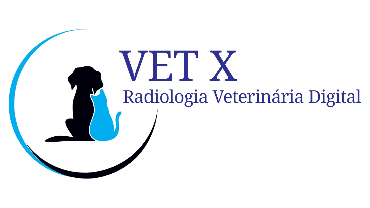 Vet X Imagem, Raio X em Fortaleza