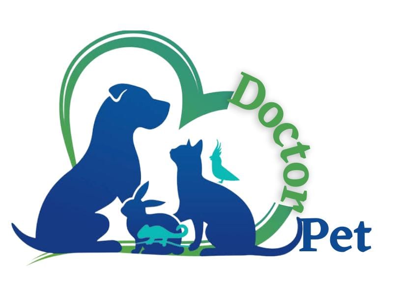Doctor Pet Recife, Clínica em Recife
