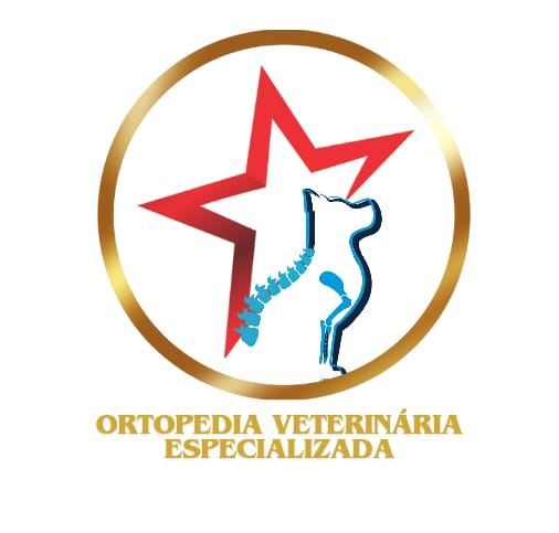 Dr. Thiago Porto, Ortopedia em Feira de Santana