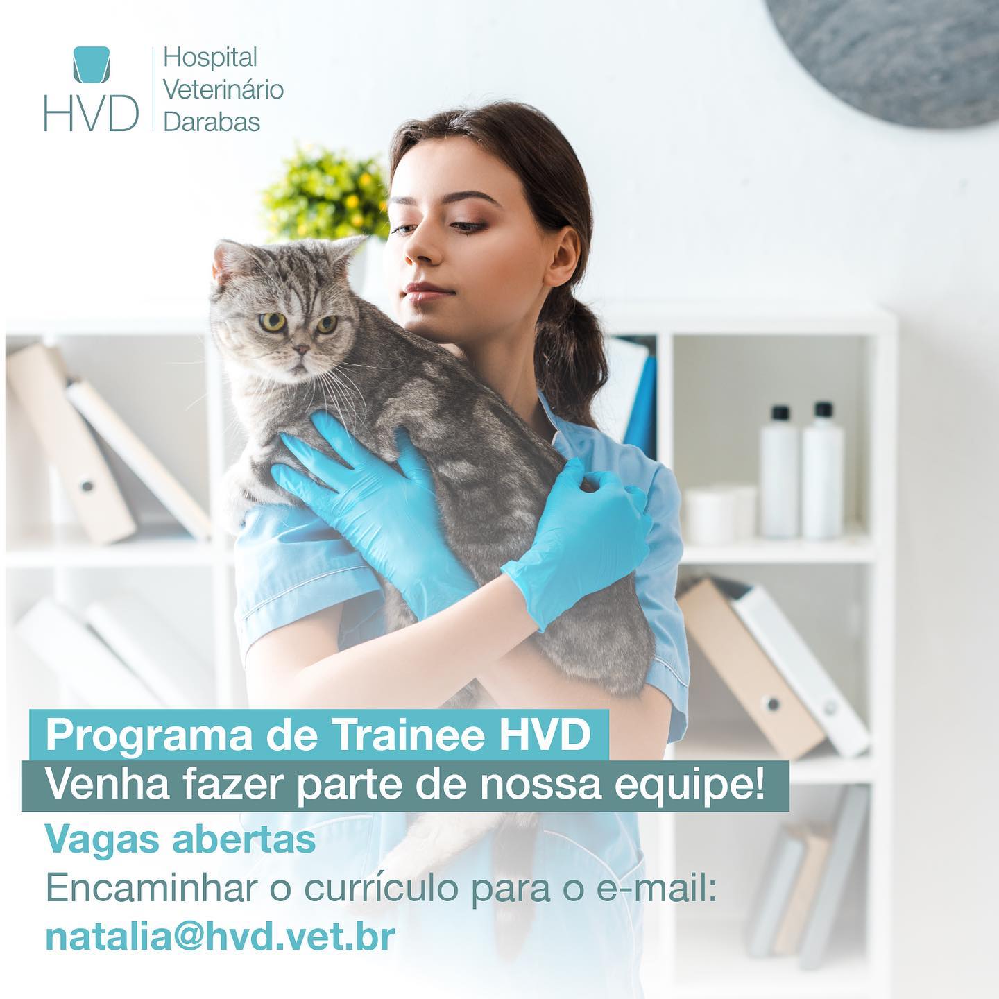 Avatar do(a) HVD - Hospital Veterinario Darabas - Unidade Palhoça