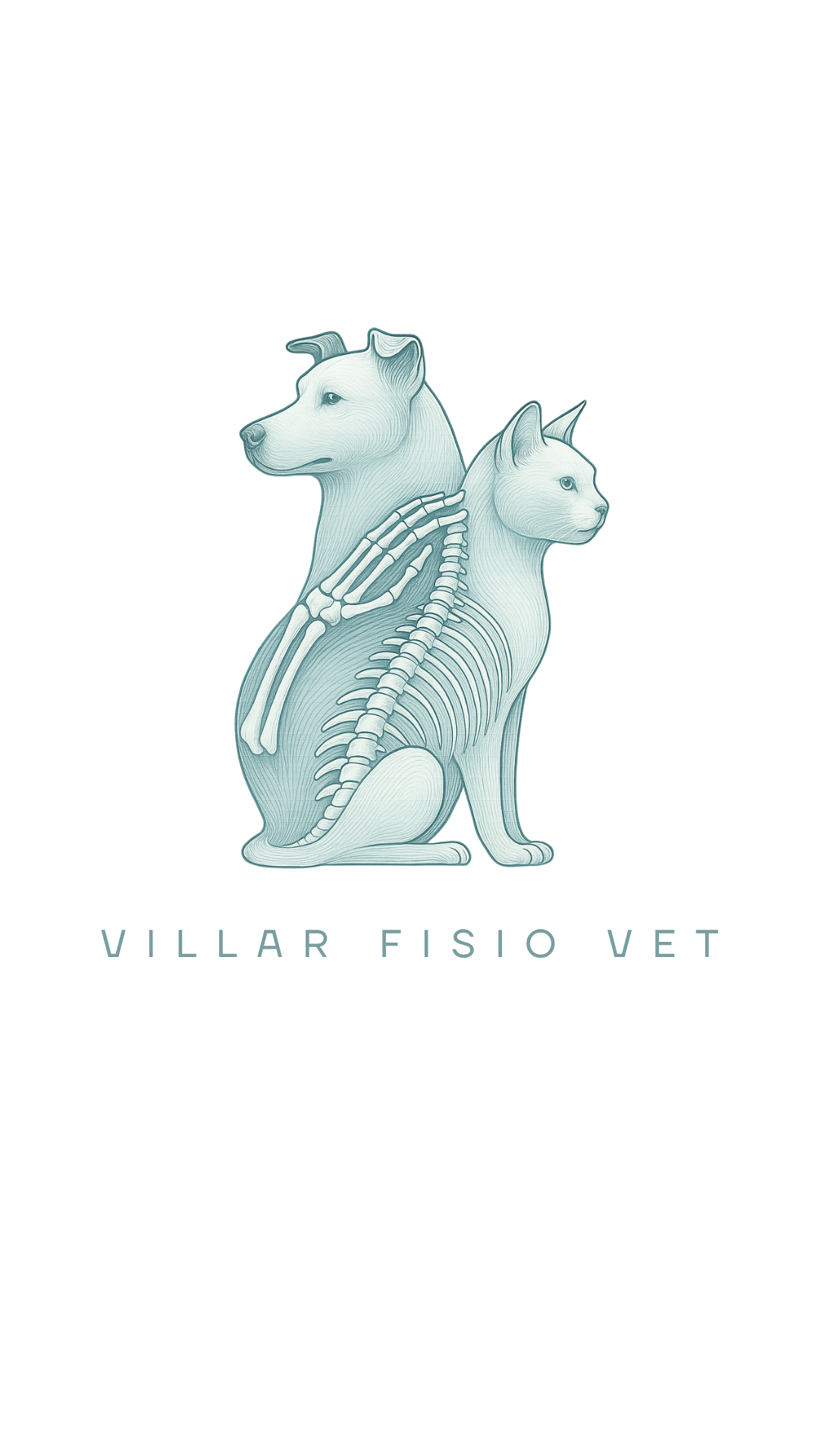 VillarVet reabilitação e fisioterapia animal, Fisio e/ou Acupuntura em Brasília