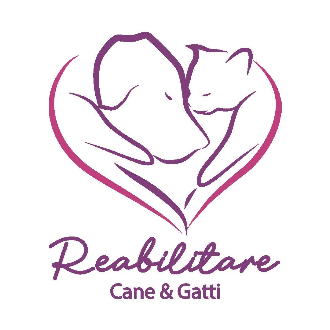 Reabilitare Cane e Gatti, Consultório em Palmas