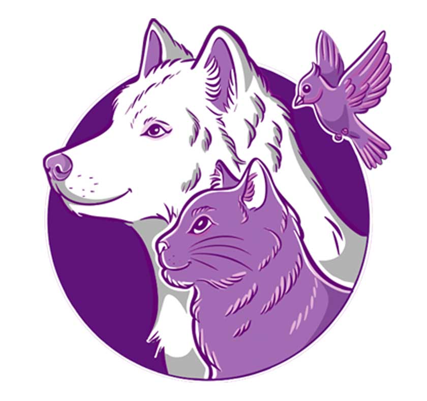 Avatar do(a) CARV - Clinica e Reabilitação Veterinária