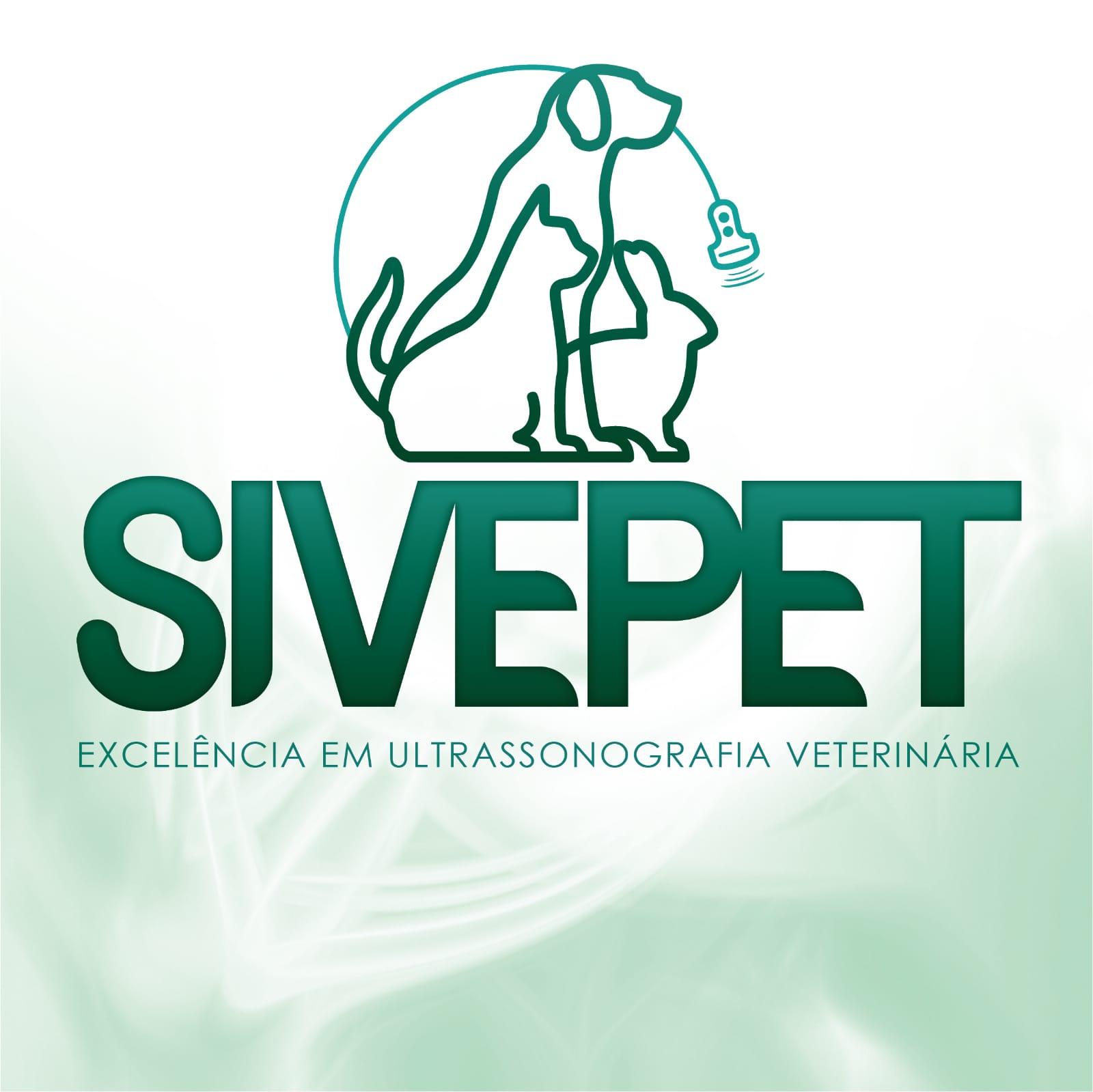 SIVEPET, Ultrassom em Campinas