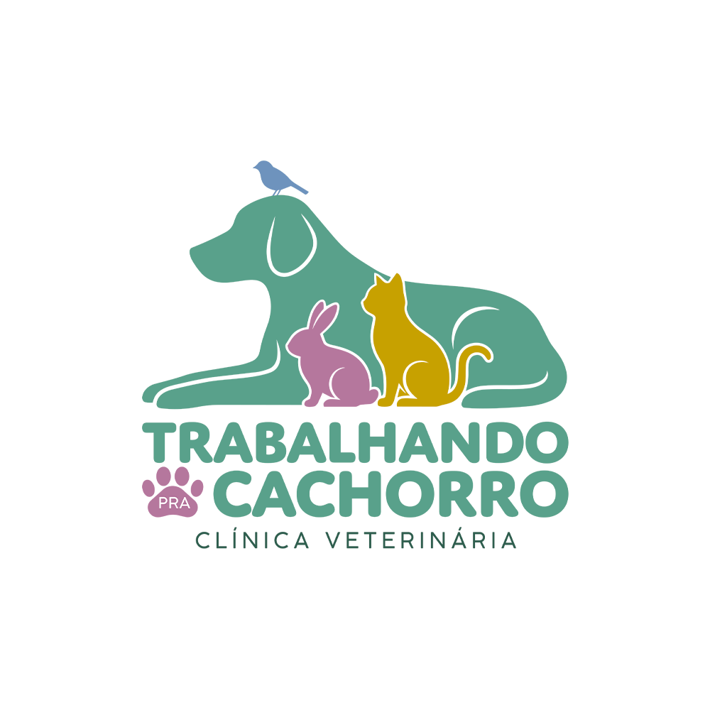 Clínica Veterinária Trabalhando pra Cachorro, Clínica em Rio de Janeiro