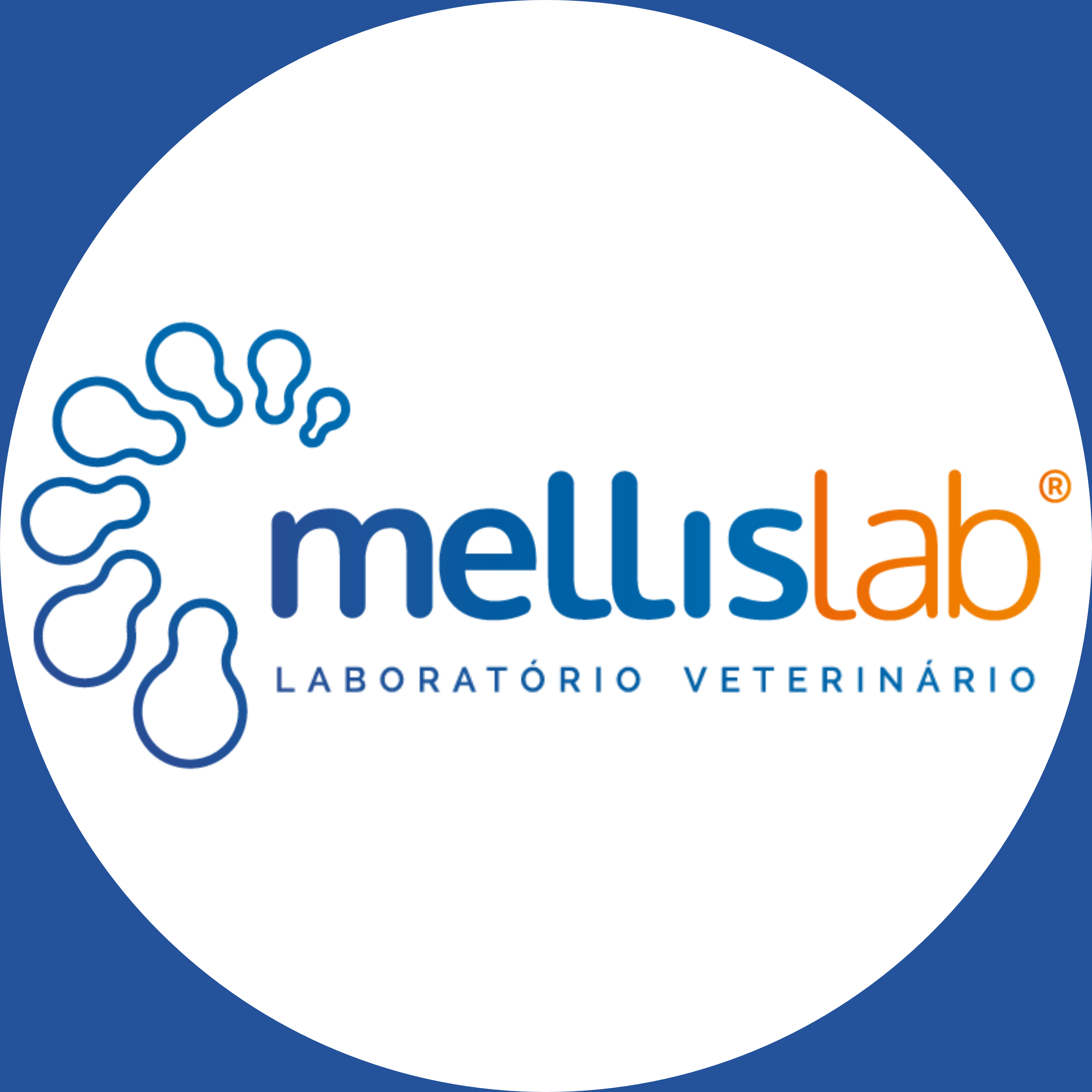 Avatar do(a) Mellislab