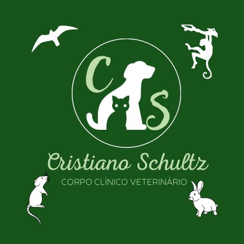 Dr. Cristiano Schultz, prestador credenciado Petlove Saúde em Rio de Janeiro