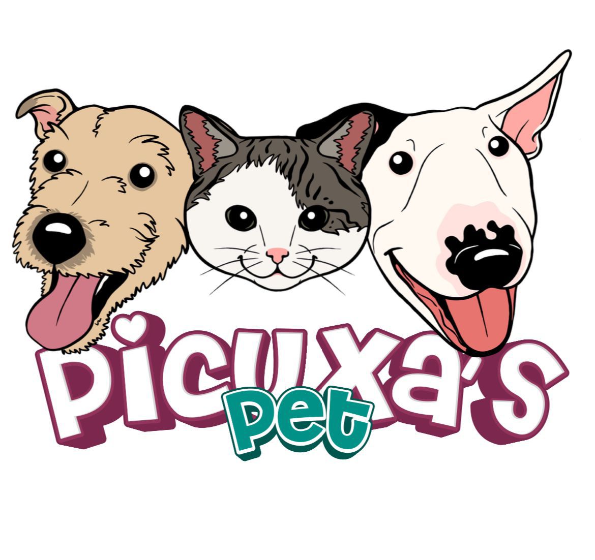 Picuxa's Pet, Consultório em Curitiba