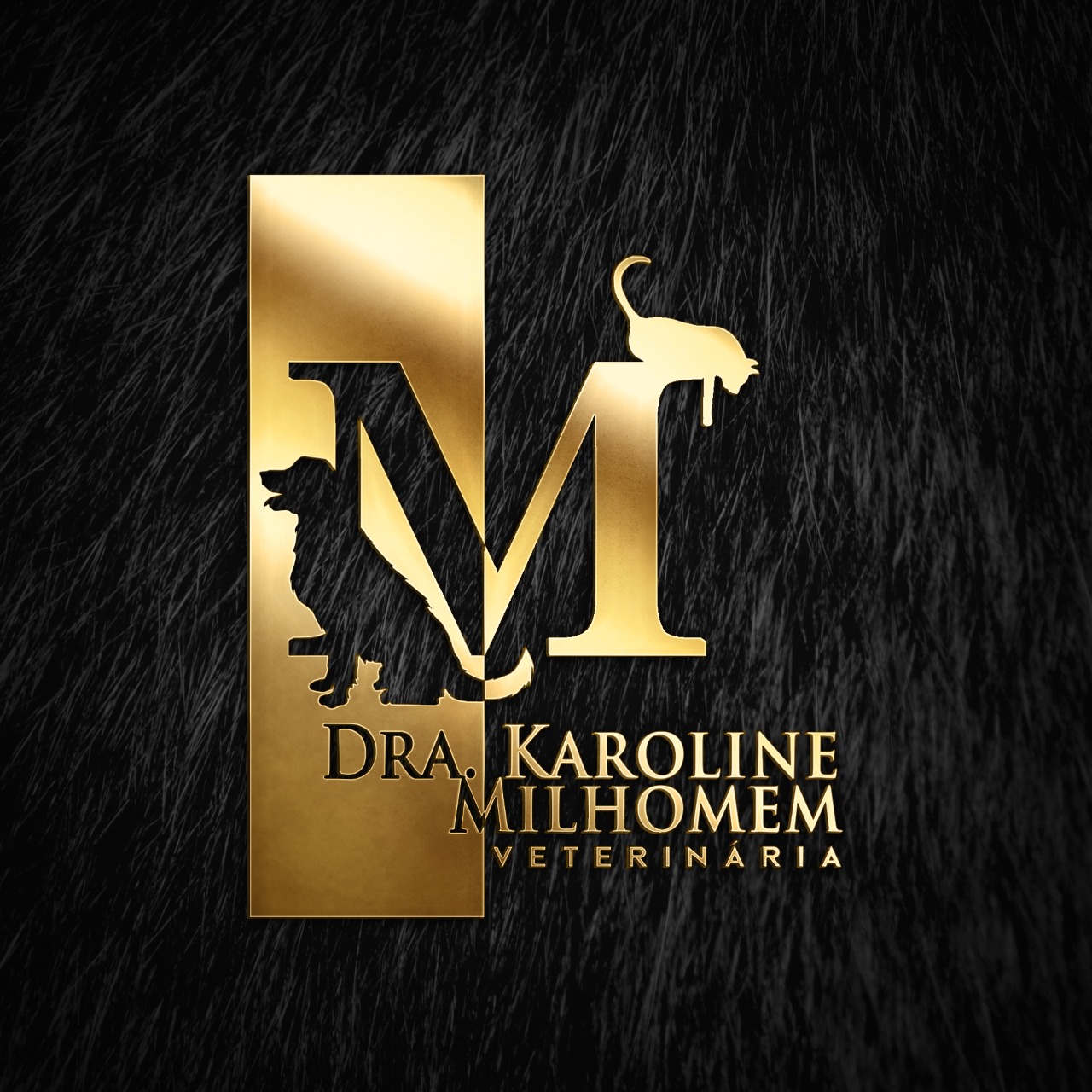 Dra. Karoline Milhomem, Veterinário a Domicílio em Fortaleza