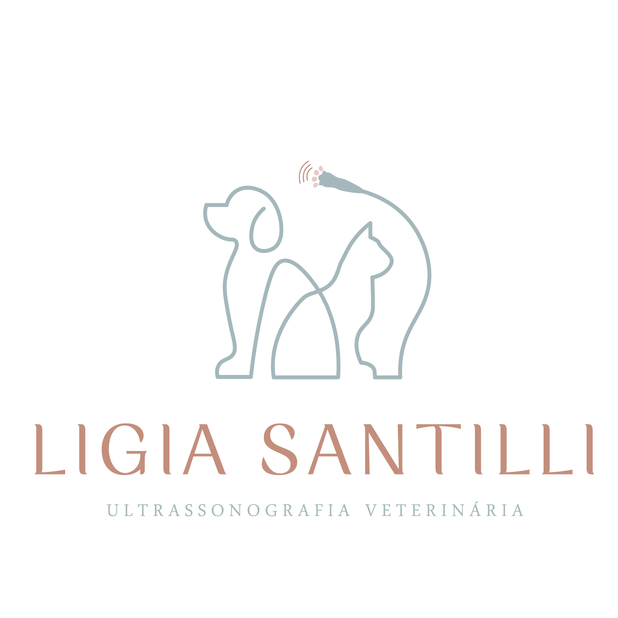 Ligia Santilli -USVETSANTILLI, Ultrassom em Ribeirão Preto