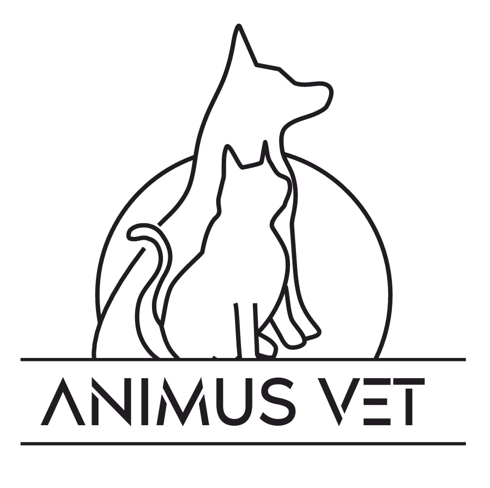 Avatar do(a) Animus Vet