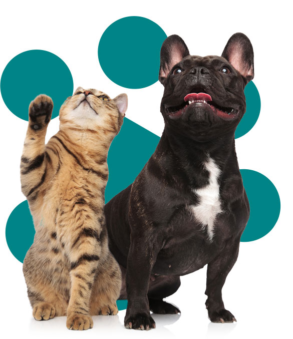 Laboratório São Camilo Veterinária, Laboratório em Maringá