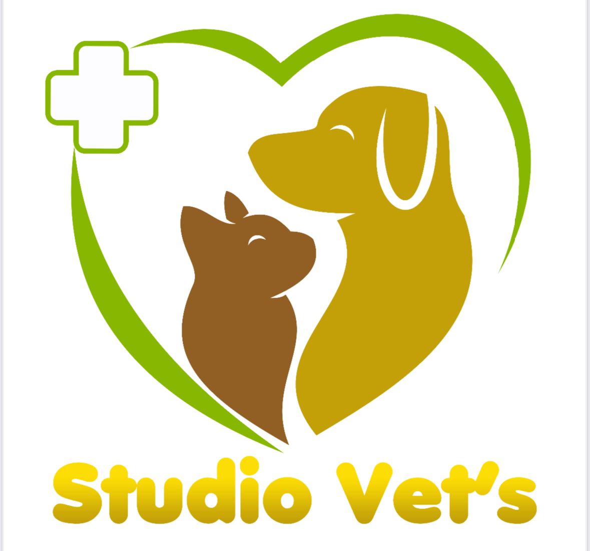 Studio Vets, Consultório em Salvador