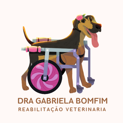 Dra. Gabriela Bomfim, Fisio e/ou Acupuntura em Diadema