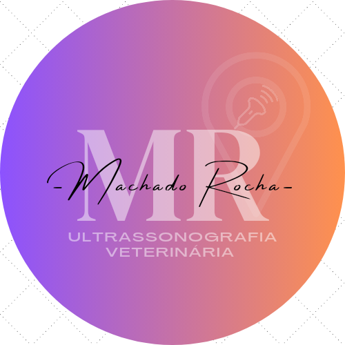 Dra. Gabriele Machado, Ultrassom em Indaiatuba