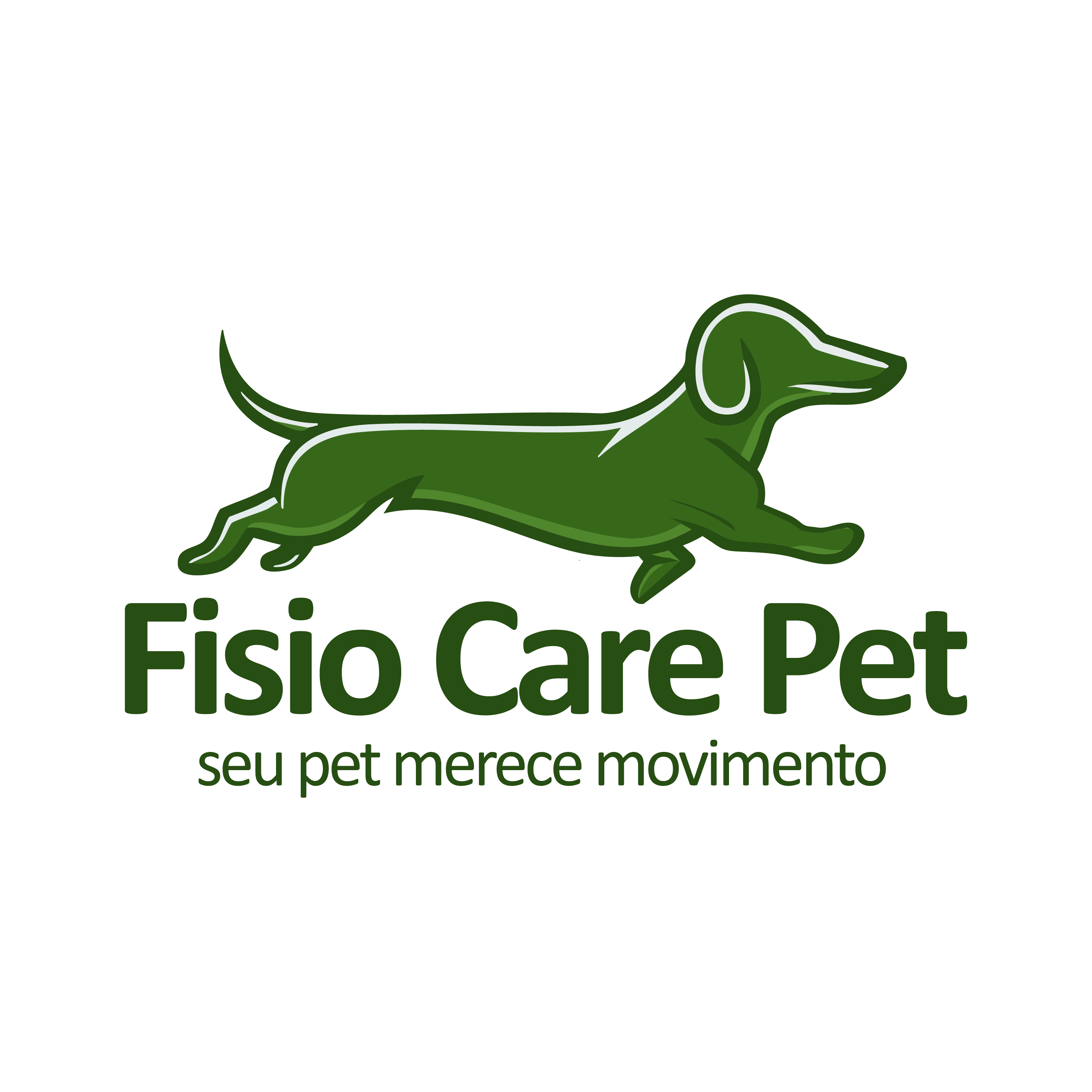 Rede Internacional Fisio Care Pet Presidente Prudente (fisioterapia e acupuntura), Fisio e/ou Acupuntura em Presidente Prudente