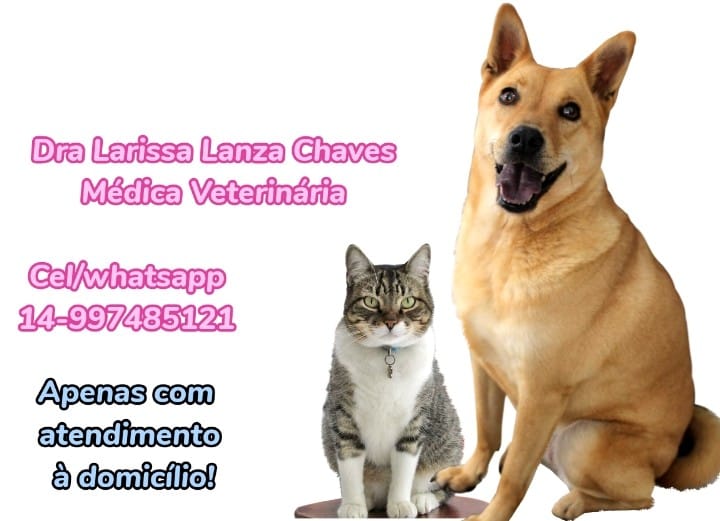 Cat Care Serviços Veterinários, prestador credenciado Petlove Saúde em Rio de Janeiro