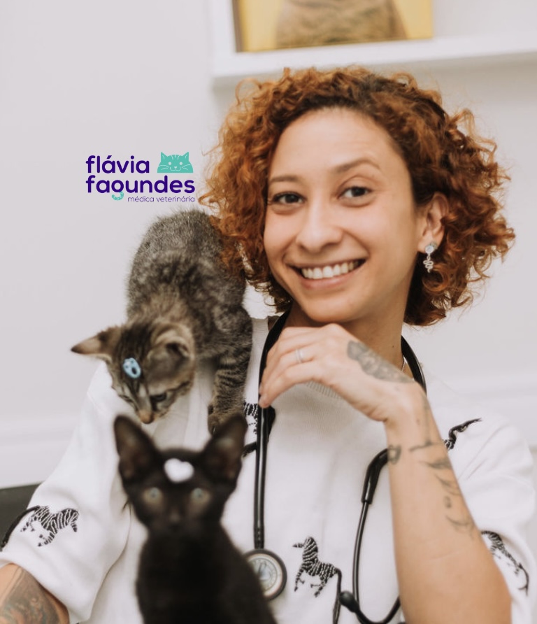 Dra. Flavia Fagundes, Felinos em Vitória