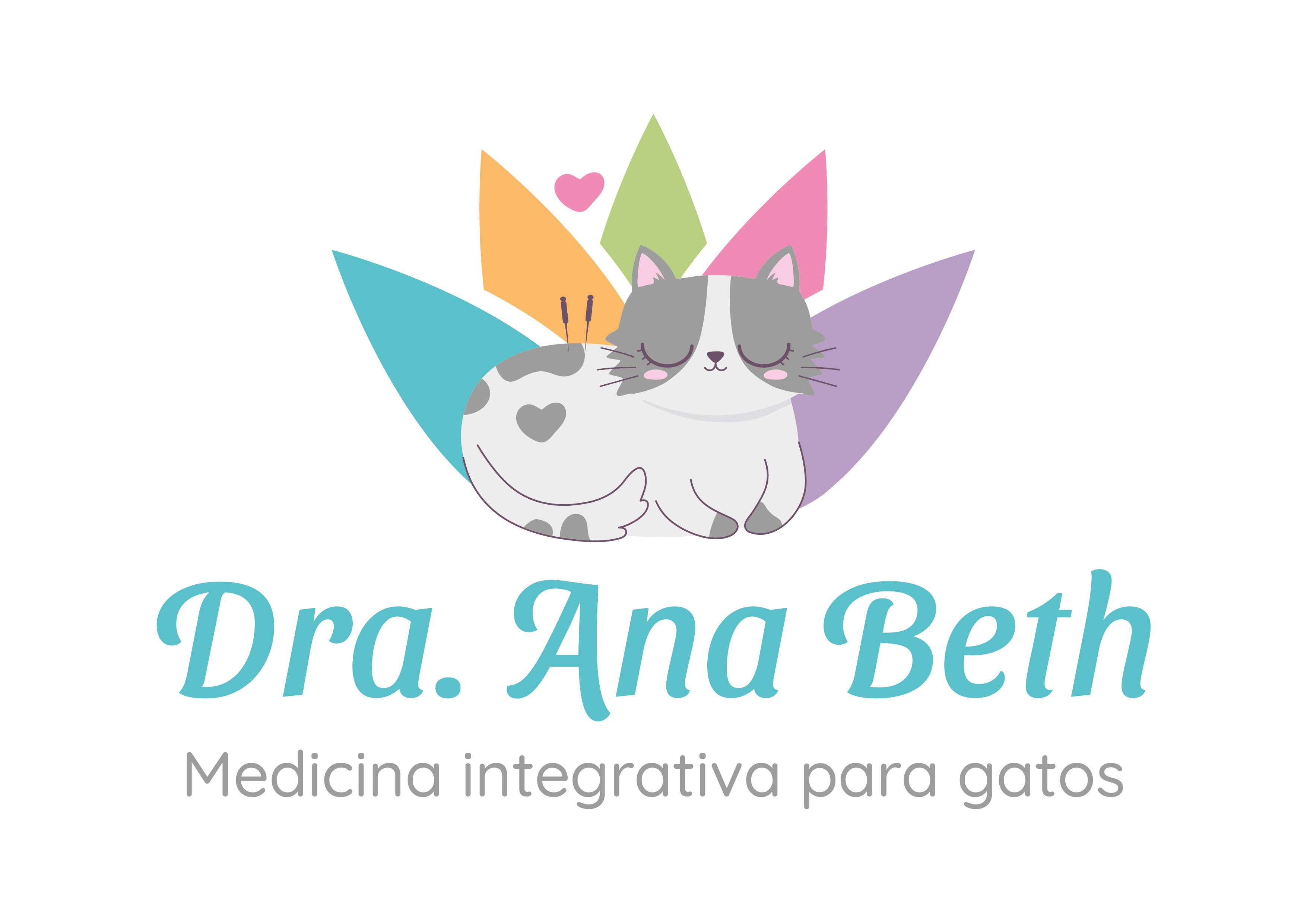 Dra. Anabethe Lima, Felinos em São Paulo