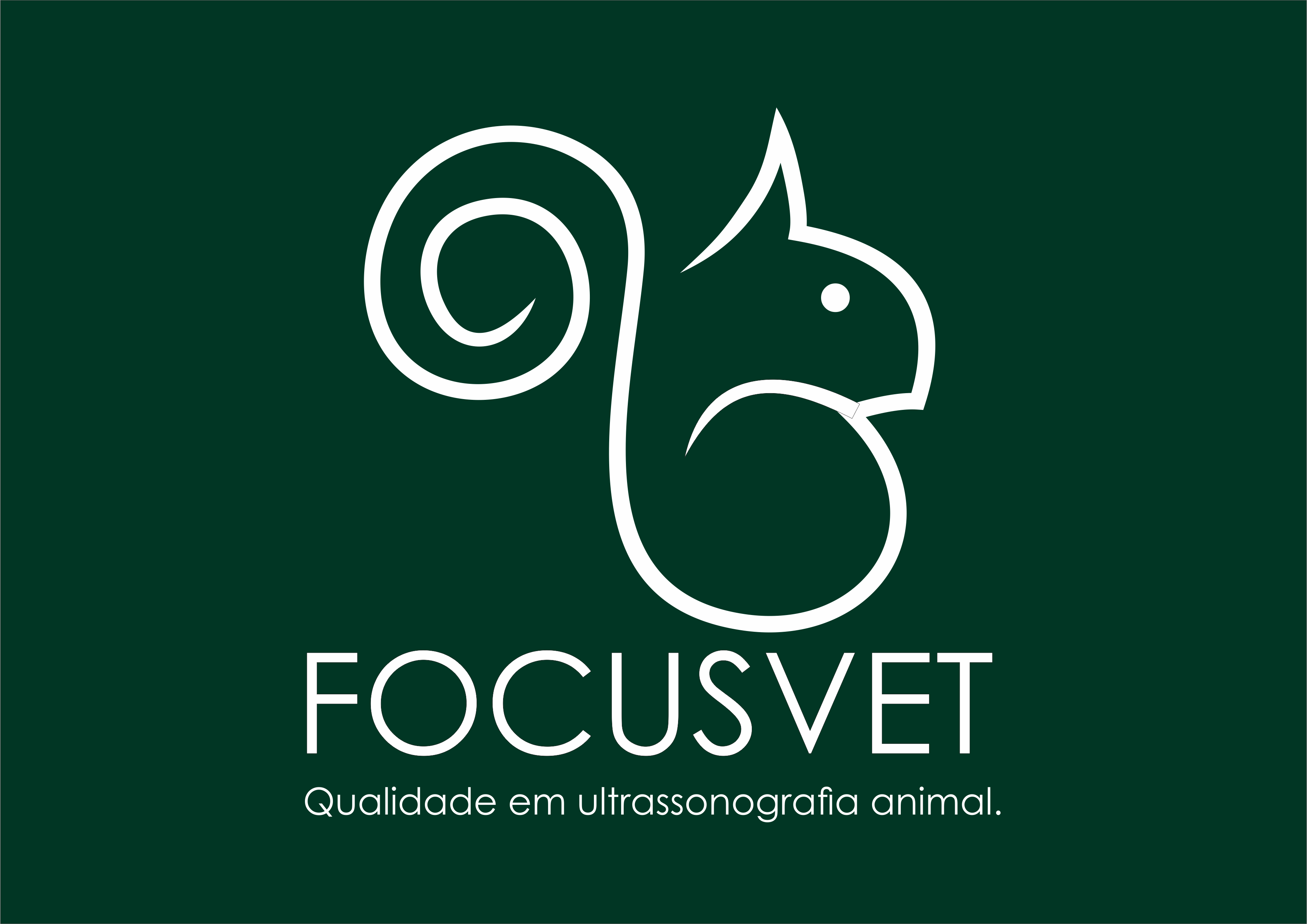 Focus Vet, Ultrassom em Curitiba
