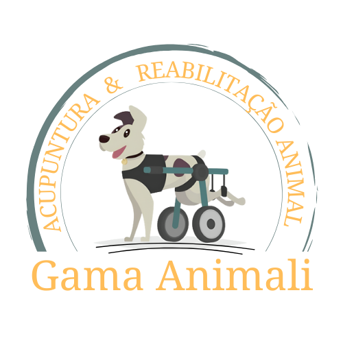 Gama Animali - Reabilitação Animal, Fisio e/ou Acupuntura em São Paulo