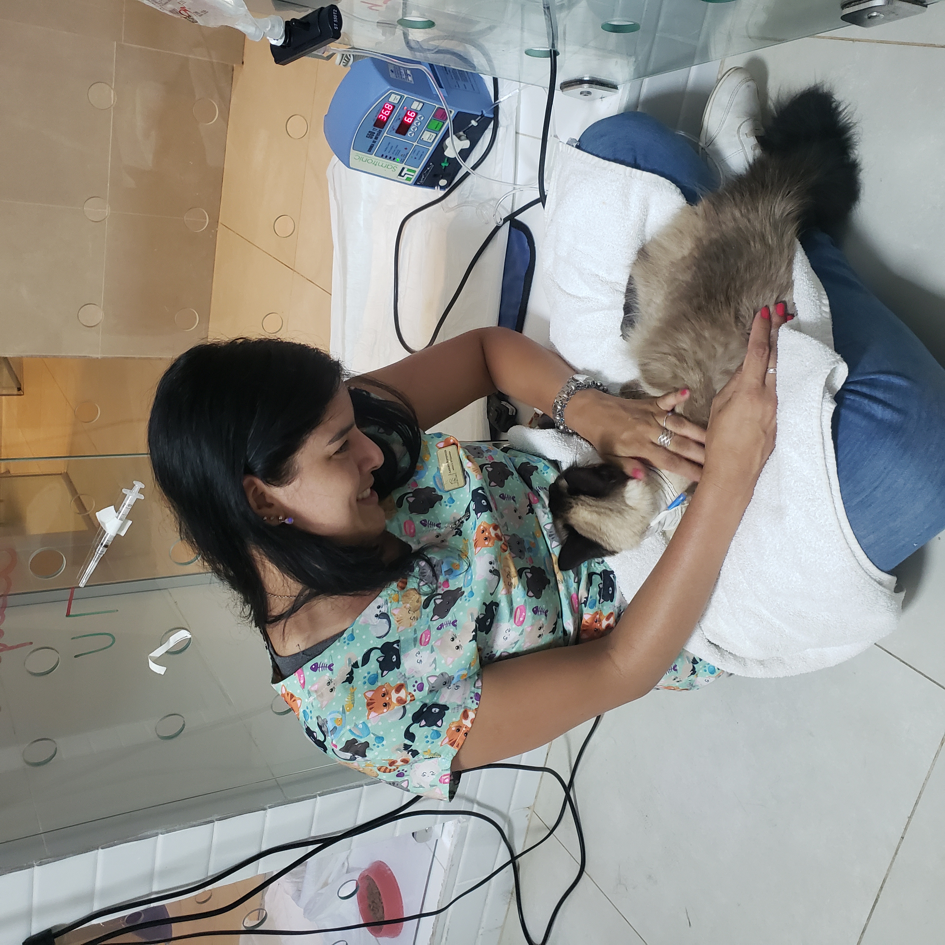 Dra. Jussara Barroncas, Veterinário a Domicílio em Brasília