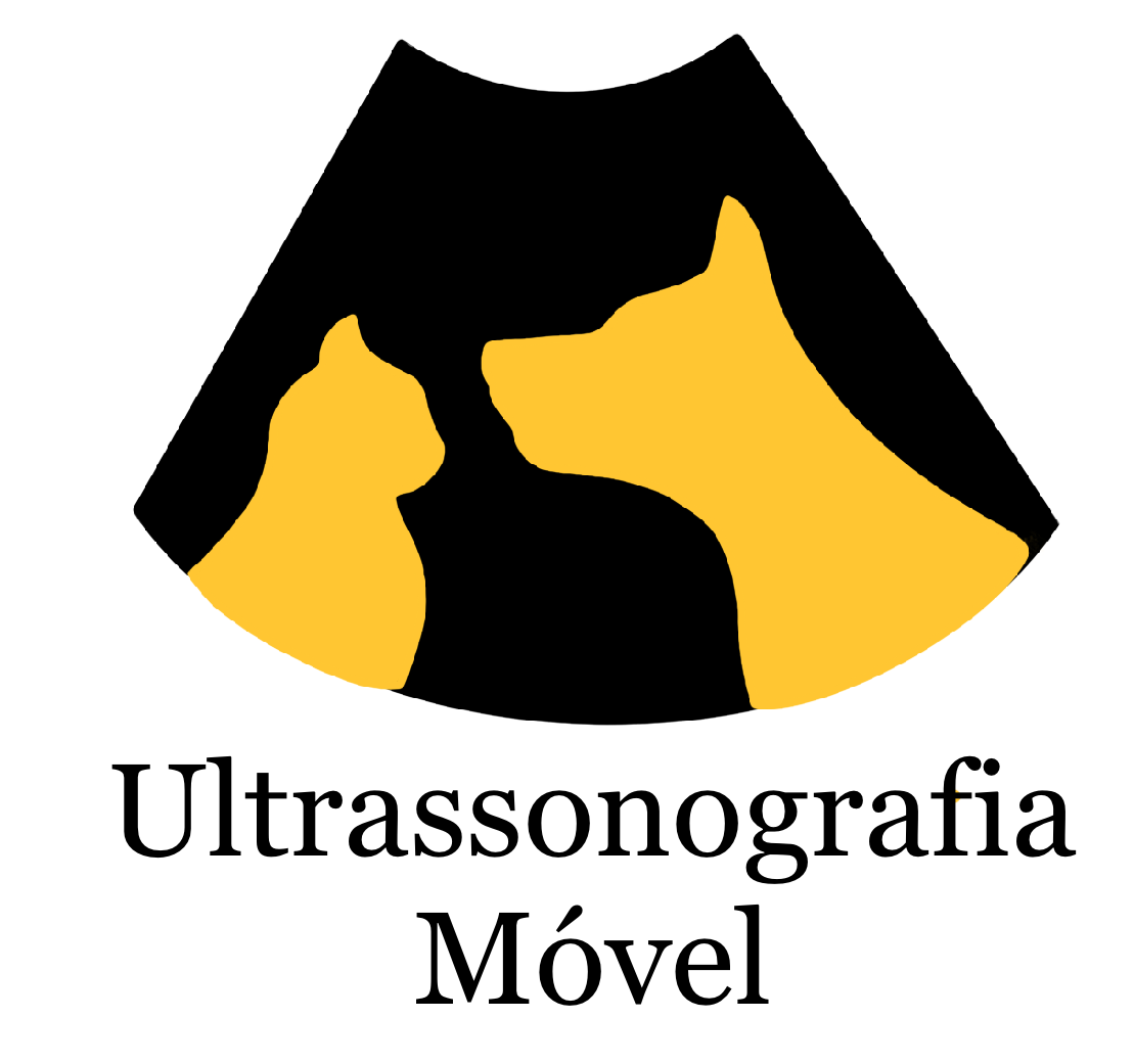 Dra. Amanda Pires, Ultrassom em São Paulo