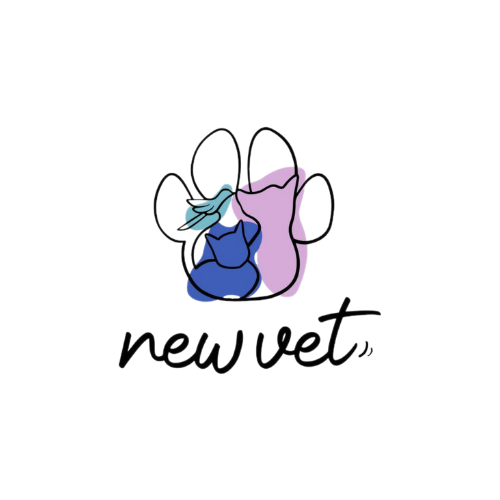 Instituto Veterinario Newvet, Clínica com cirurgia em Itaboraí