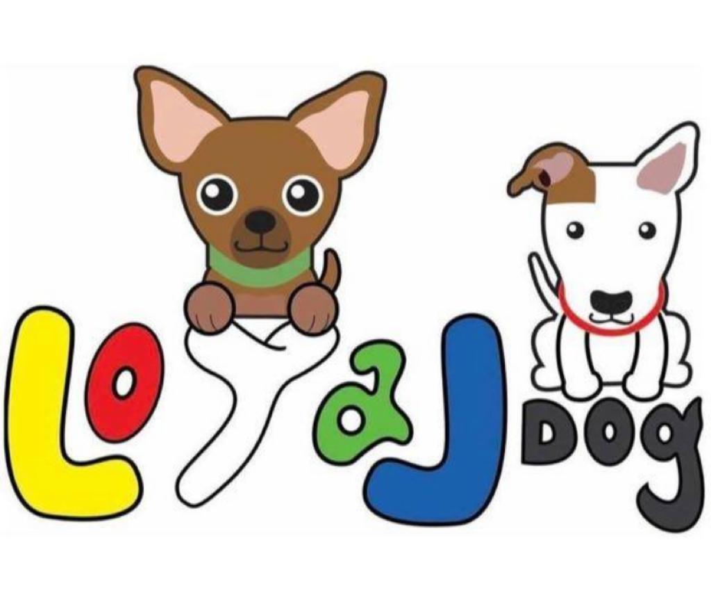 Loyal Dog Pet Shop, Clínica em São Paulo