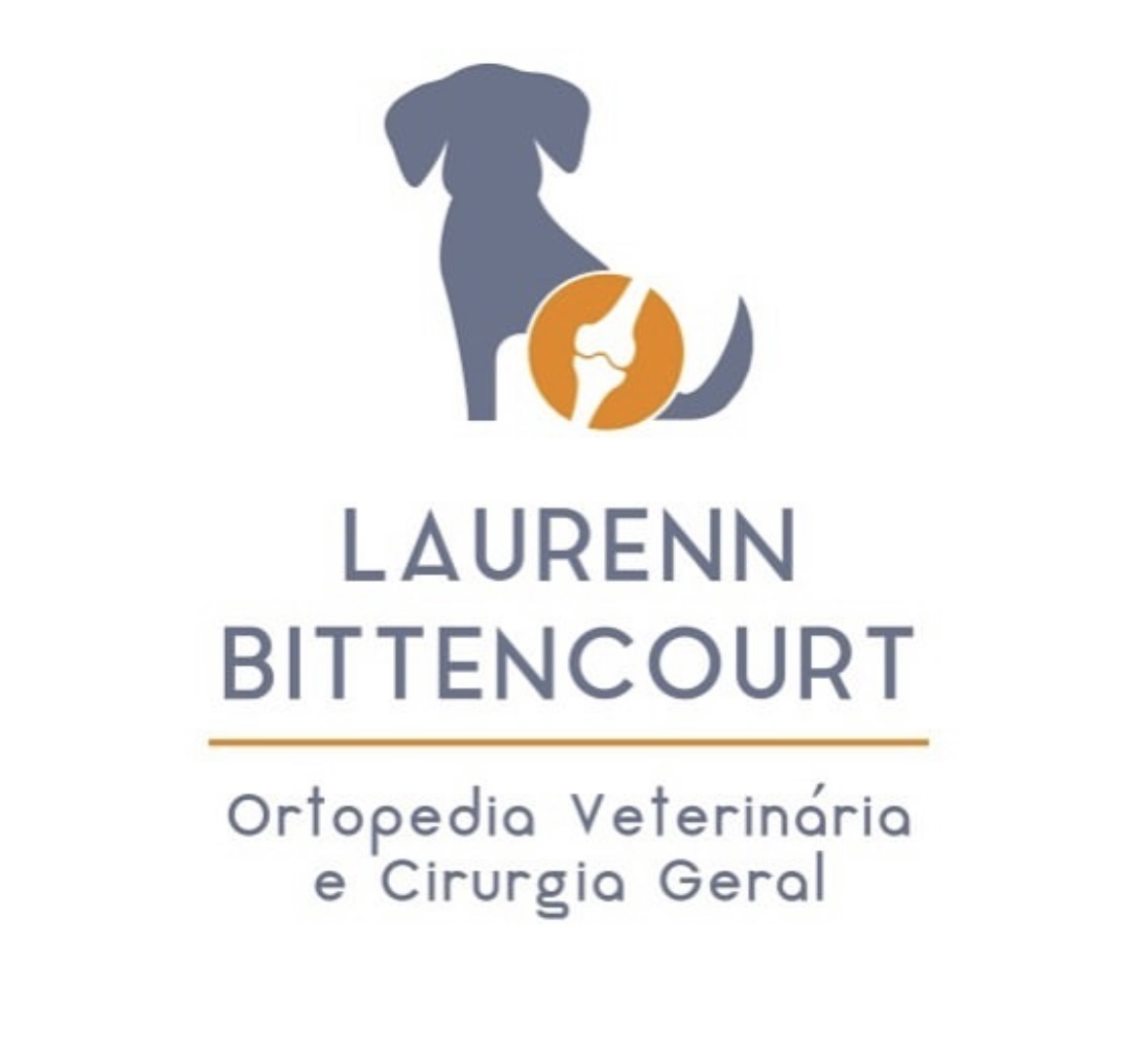 Dra. Laurenn Bittencourt Ortopedia Veterinária, Ortopedia em Porto Alegre