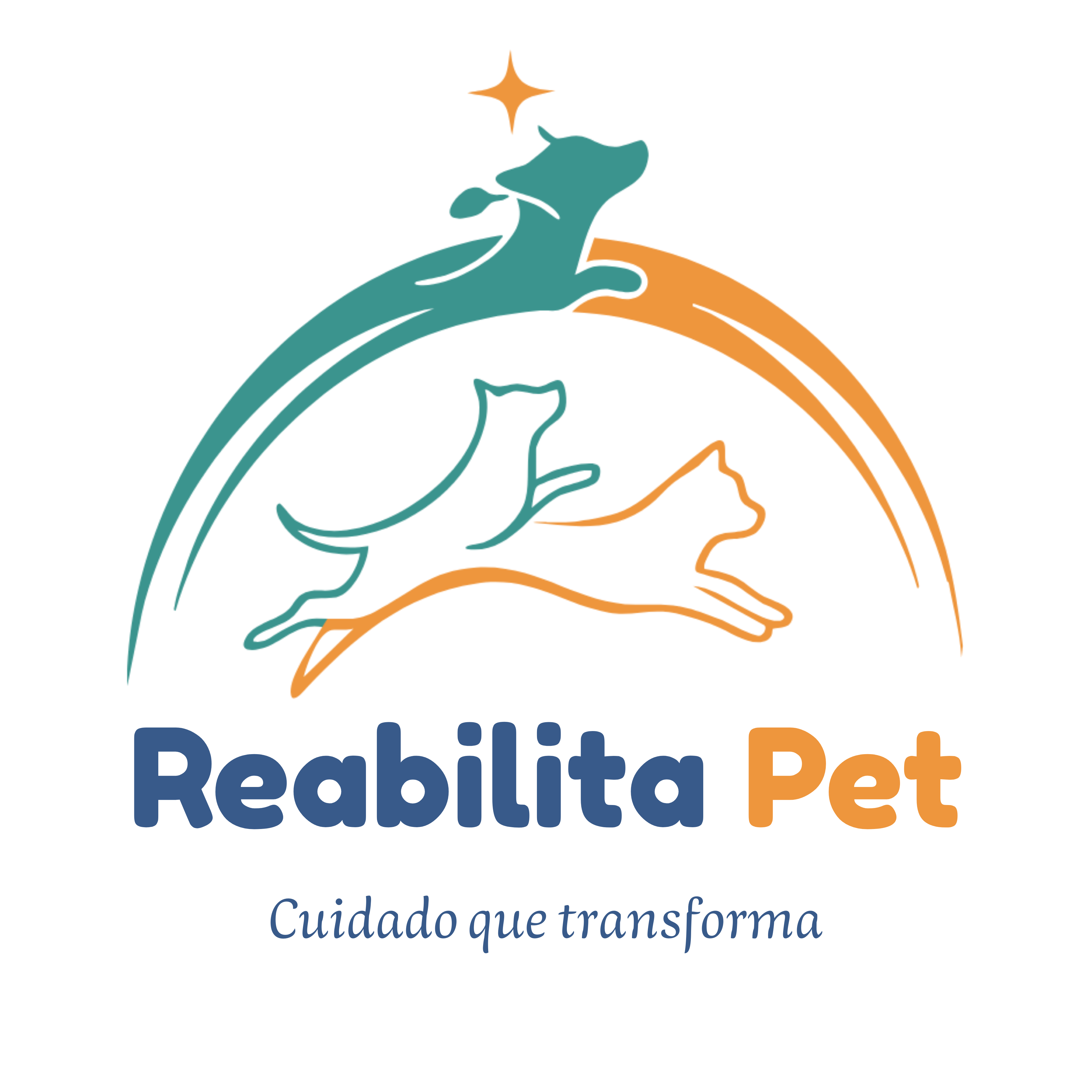Reabilita Pet, Fisio e/ou Acupuntura em Jundiaí