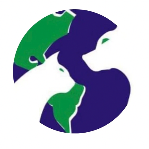 Planeta Bicho 24h, Clínica 24h em Bauru