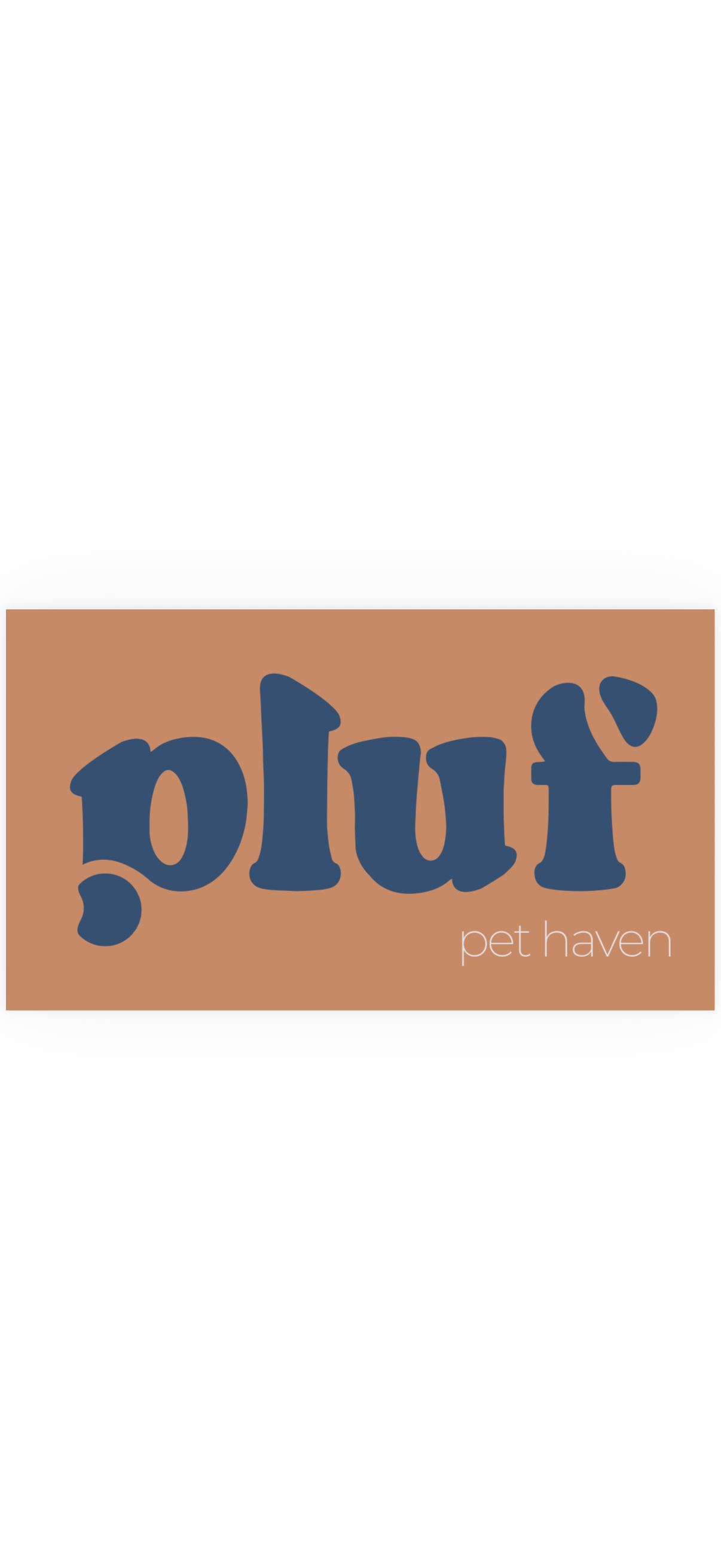 Pluf, Consultório em São Paulo