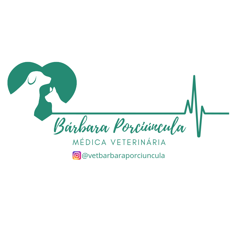 Dra. Barbara Porciúncula, Geriatria em Pelotas