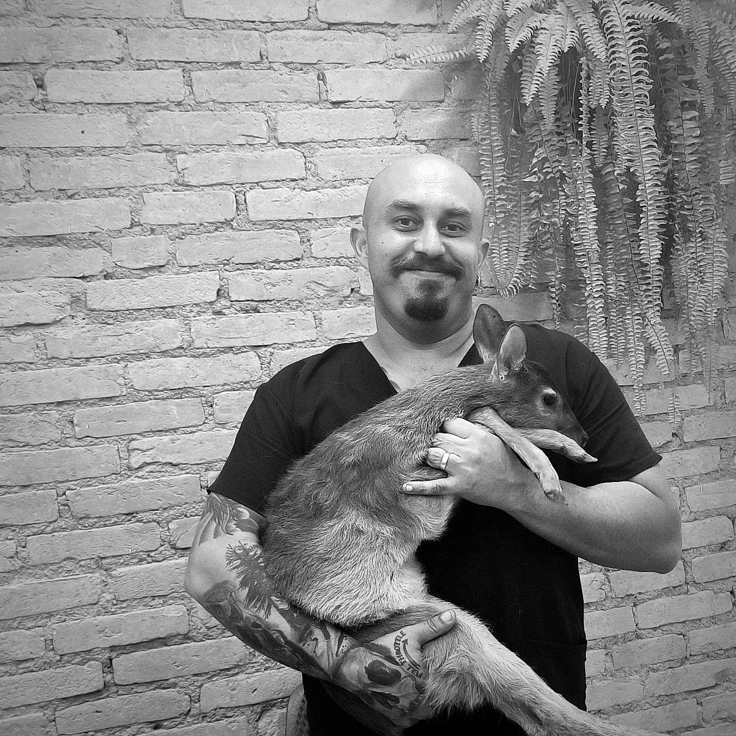 Dr. Guilherme Carretero, Veterinário a Domicílio em Sorocaba