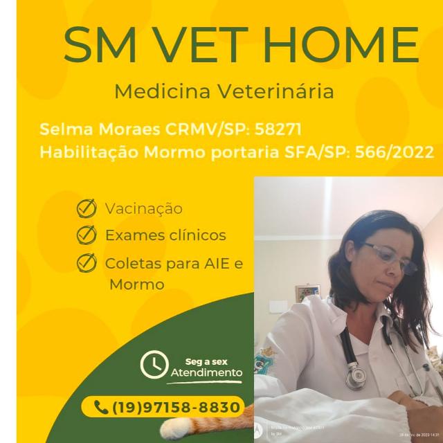 Dra. Selma Moraes, Veterinário a Domicílio em Jaguariúna