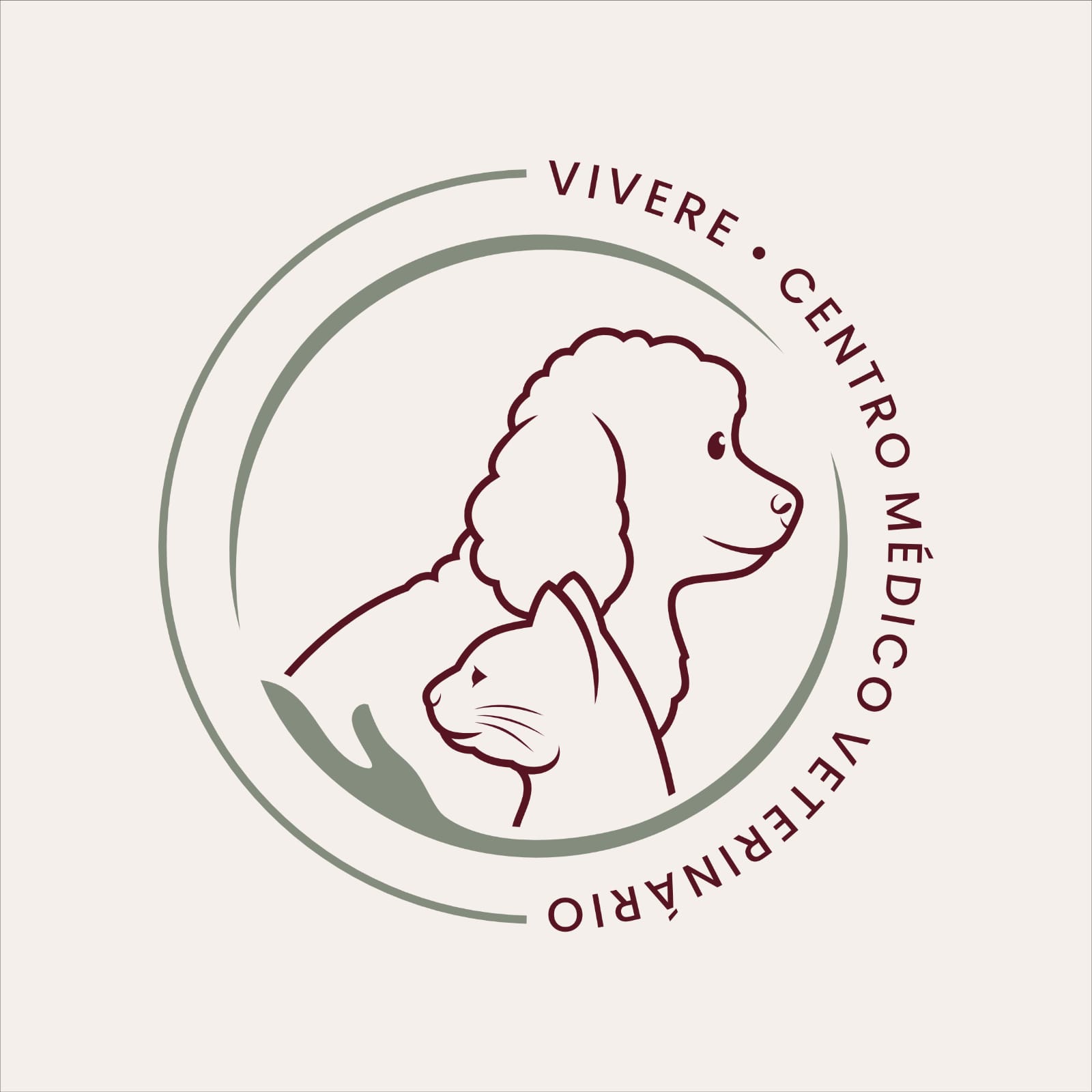 Vivere Centro Médico Veterinário, Clínica com cirurgia em Santo André