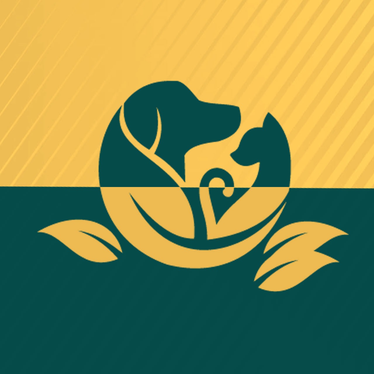 EcoVet Clinica Veterinária - Jardim Esmeralda, Clínica em São Paulo